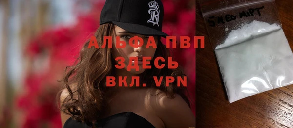 ECSTASY Вяземский