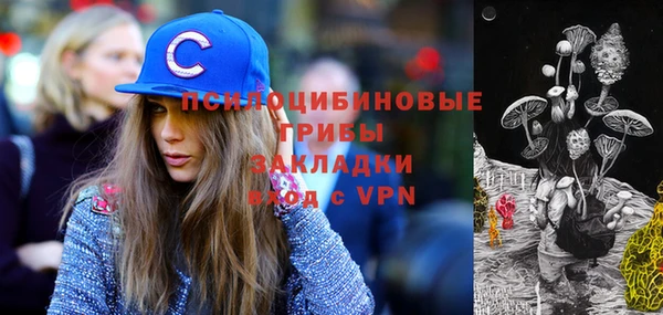 стаф Липки