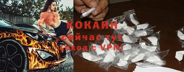 гашик Сосновый Бор