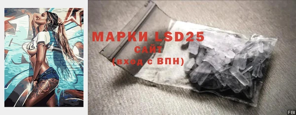 стаф Липки