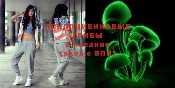 гашик Сосновый Бор