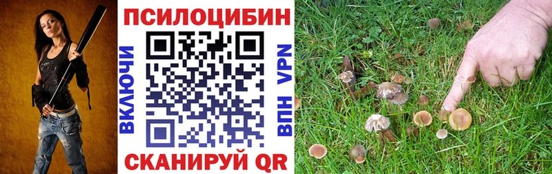 OMG ONION  Наро-Фоминск  Галлюциногенные грибы Psilocybine cubensis 