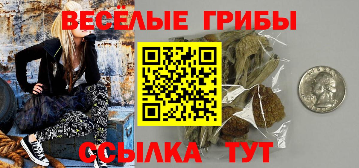 Псилоцибиновые грибы мухоморы  Псилоцибиновые грибы Psilocybine cubensis  наркотики  Наро-Фоминск  Вход с VPN 